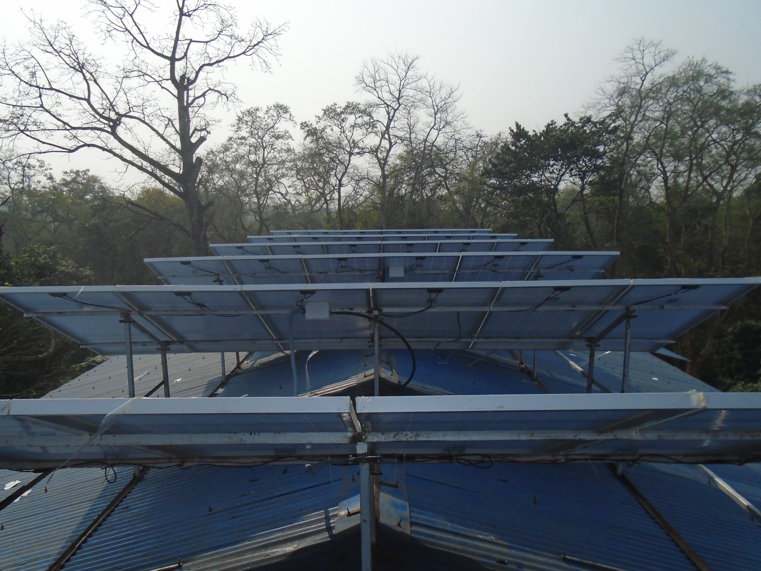 Chitwan WWF Photo 1