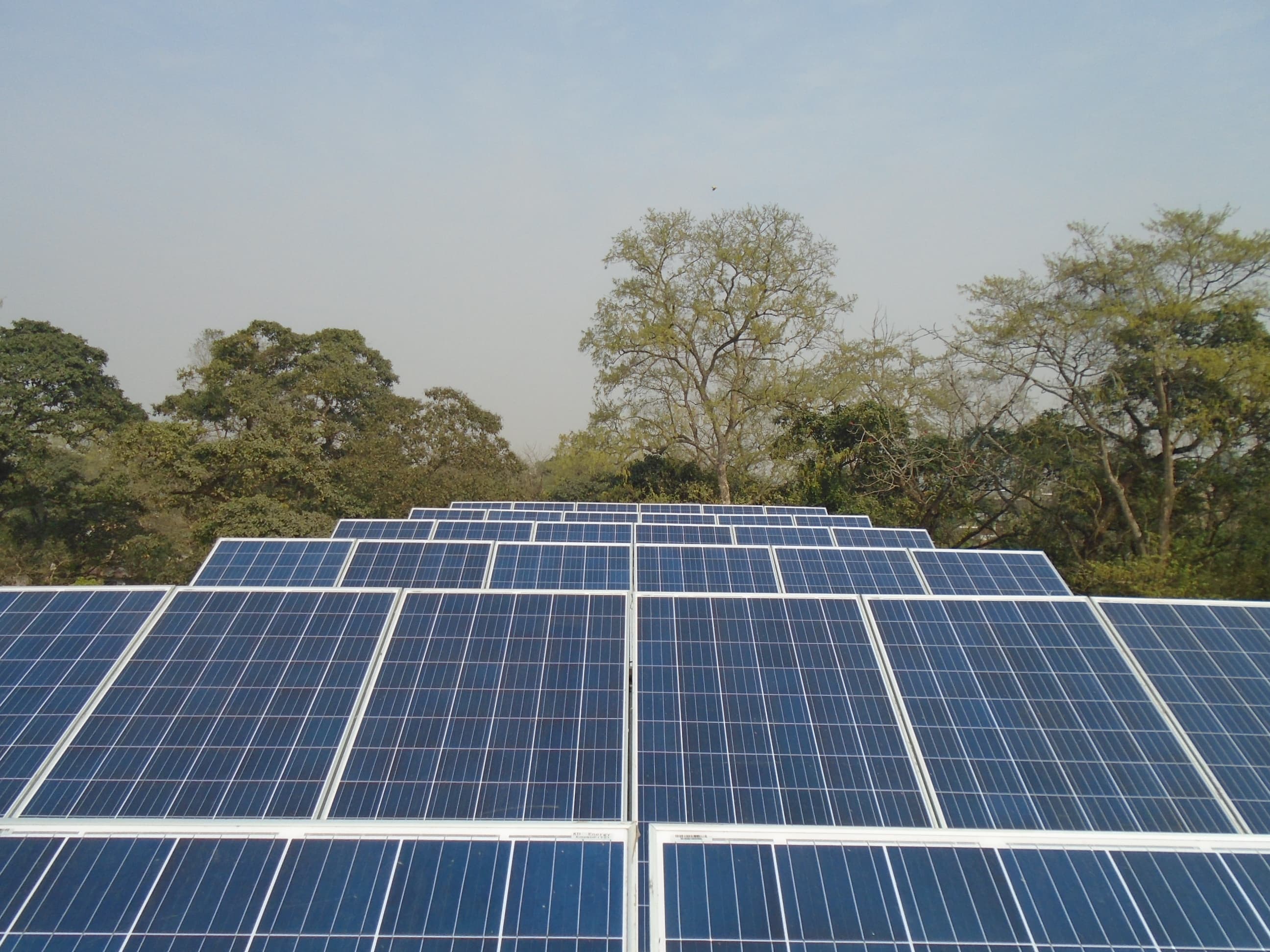 Chitwan WWF
